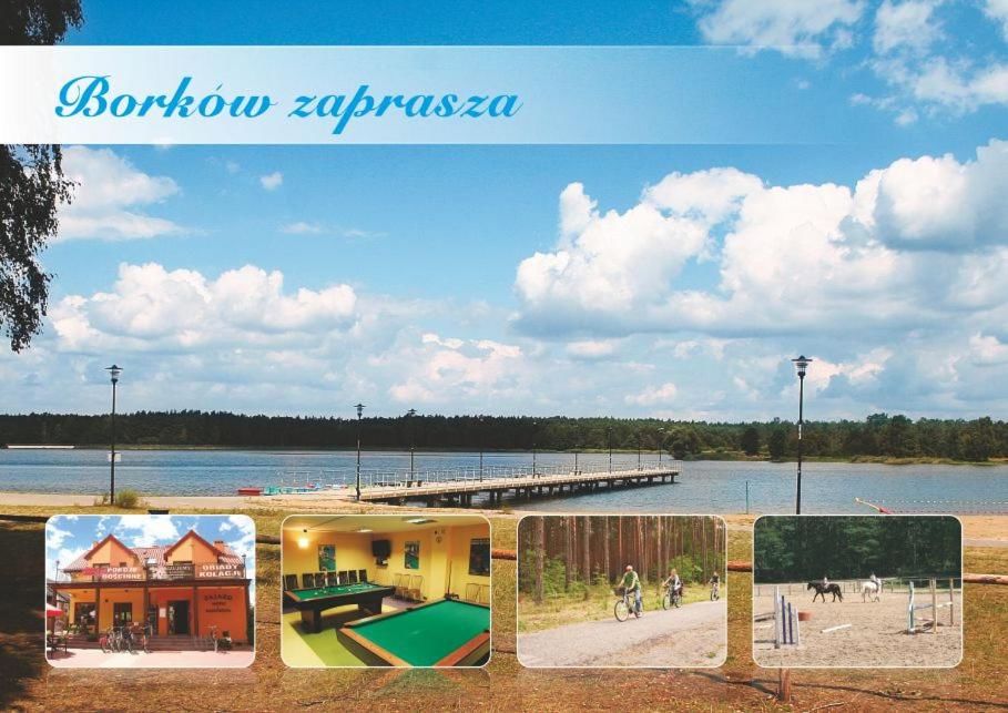 Мотели Zajazd Mistrz i Malgorzata Borków-5